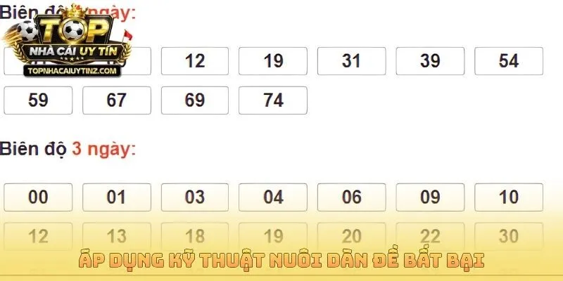 Áp dụng kỹ thuật nuôi dàn đề bất bại